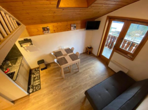 Appt lumineux avec mezzanine, 2 balcons, à 200m des télésièges - FR-1-693-44